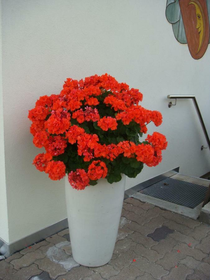 B&B Haus Gruener Olang Екстериор снимка